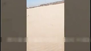 剧情演绎网络节目主持人海边取景勾引寂寞小哥口交后入激情爆草