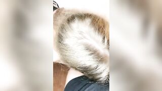 【麻花免费视频】老外名媛国人老哥大战洋妞白皙奶子无毛粉穴，性感吊带黑丝高跟鞋手指扣逼后入抽插