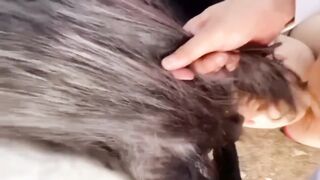 【麻花免费视频】瞒着老哥和大嫂偷偷出来打野炮，没忍住不小心内射了进去