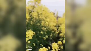 【麻花免费视频】【疯狂少妇“妖媚婷儿”户外勾引合集】各种勾引，老头孩子都不放过，玩法丰富毁三观