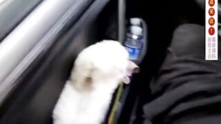 【麻花免费视频】打开车窗人来人往，坚持不了几分钟就射了