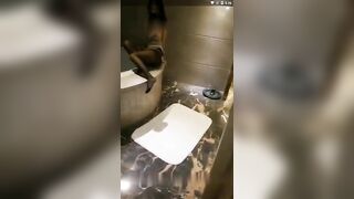 12月 19日 囍 啪 啪 內 射 美 女 很 多 2