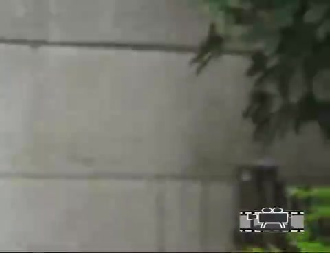 学生妹当街扒裤子.